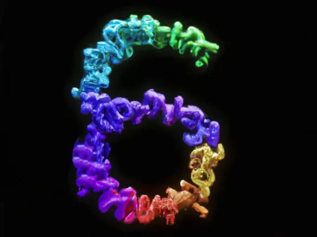Who wants to live forever? The scientists who are trying to defeat aging